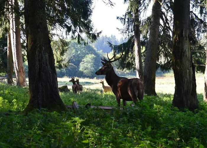 Alte Post 2* ユーリンゲン・ビルケンドルフ